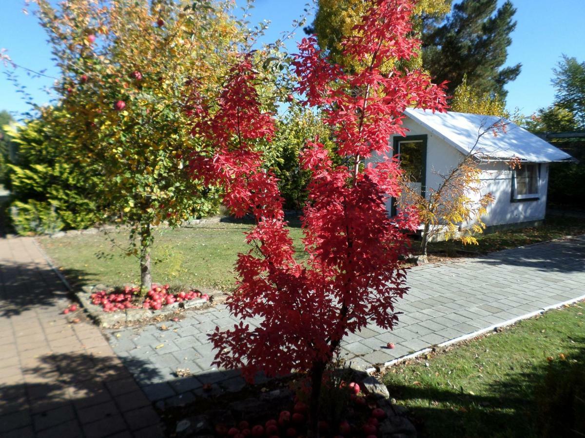 אלכסנדרה Central Chalets Ltd מראה חיצוני תמונה